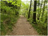 Vikrče - Grmada